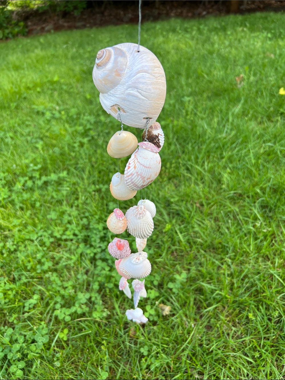Handmade Seashell Wind Chime - Natural Shells - Picture 7 of 10